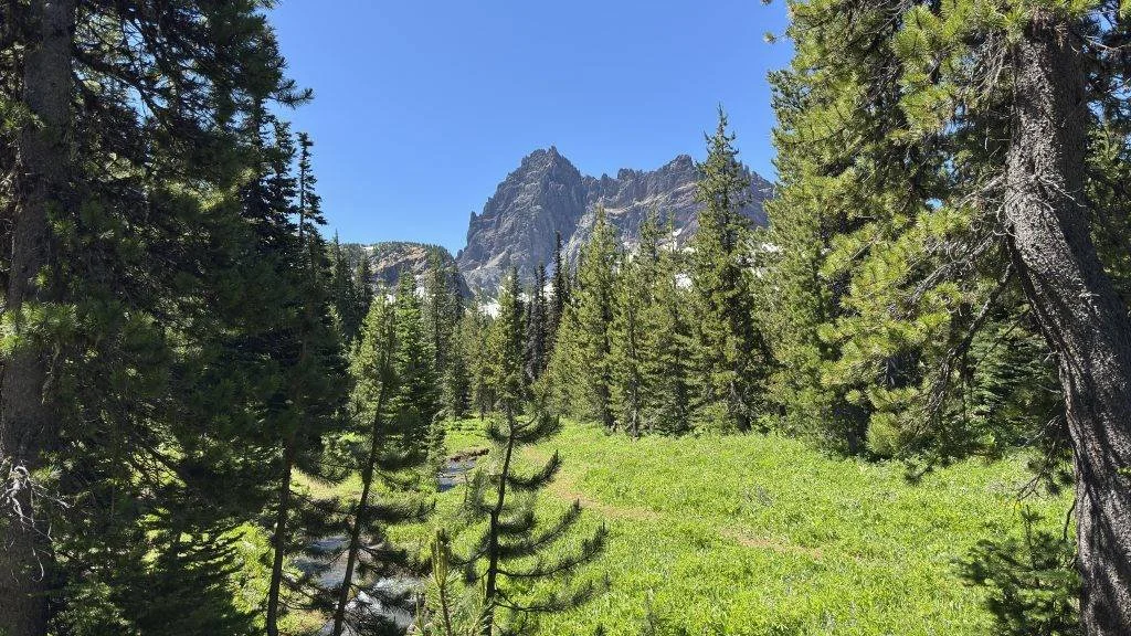 Published photograph from How to Hike Canyon Creek Meadows & See Mountain Goats on Three Fingered Jack.