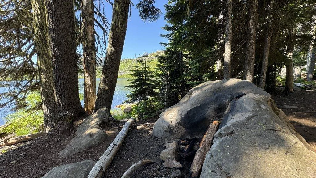 Published photograph from How to Hike Canyon Creek Meadows & See Mountain Goats on Three Fingered Jack.