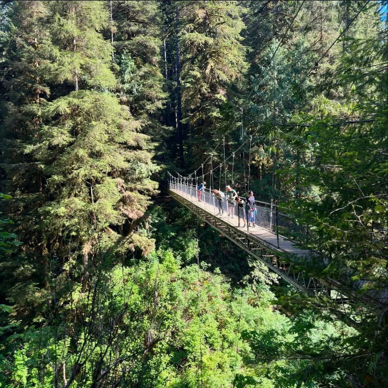 Published photograph from How to Hike to Drift Creek Falls.