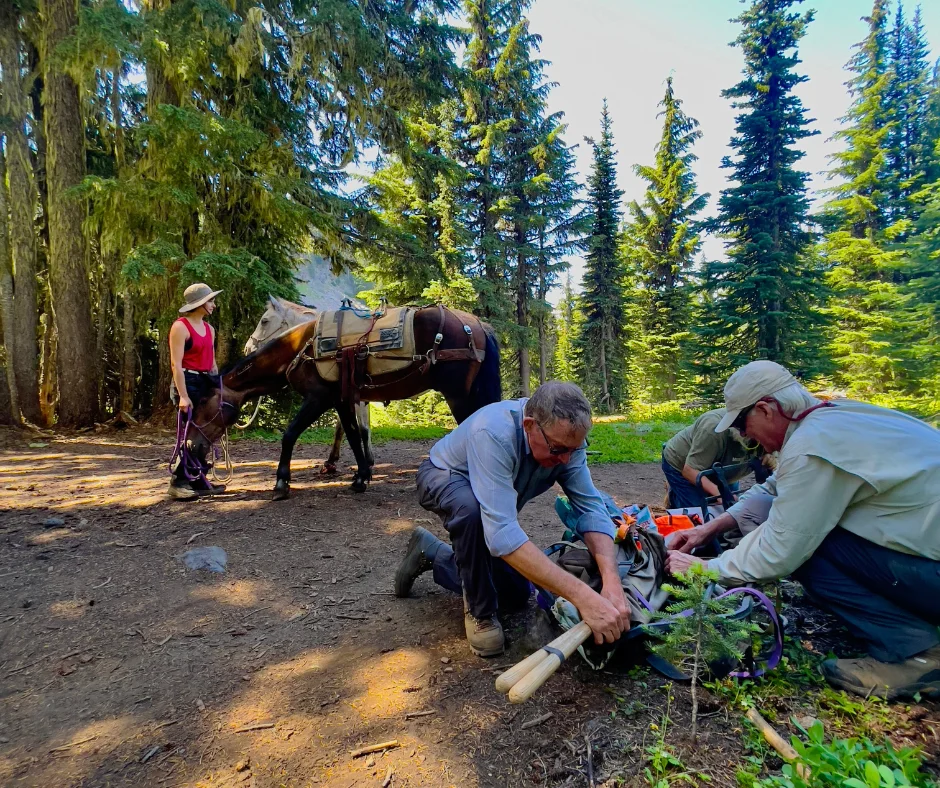 Published photograph from Can't Get a Central Cascades Wilderness Permit? Do This Instead.