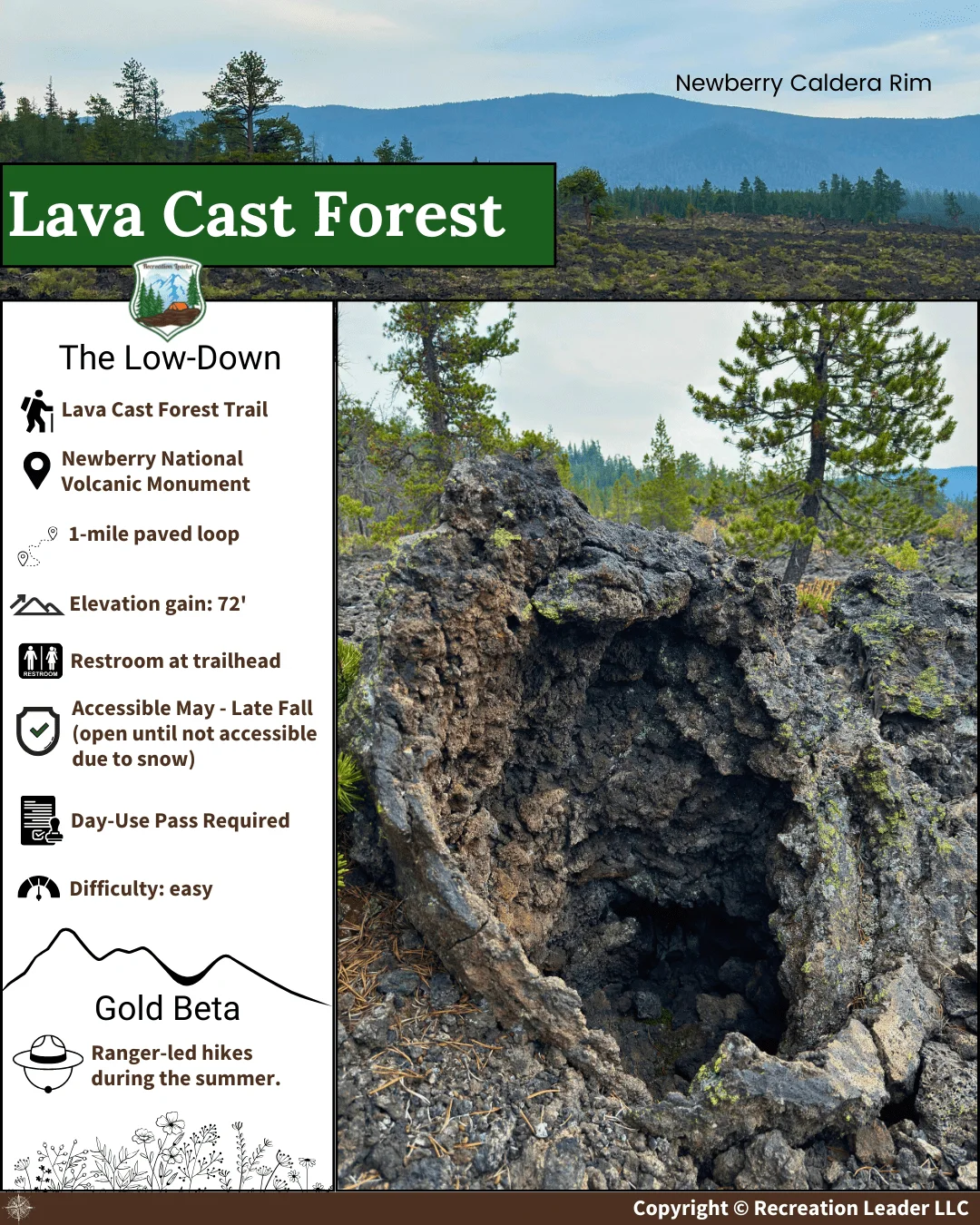 Published photograph from How to Hike the Lava Cast Forest Trail.