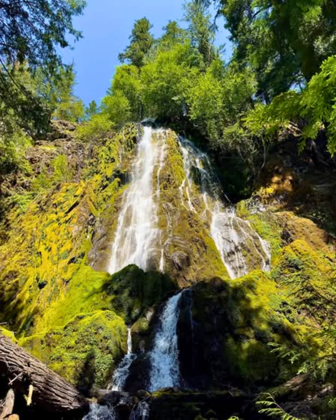 Published photograph from How to hike to Moonfalls, Umpqua National Forest.