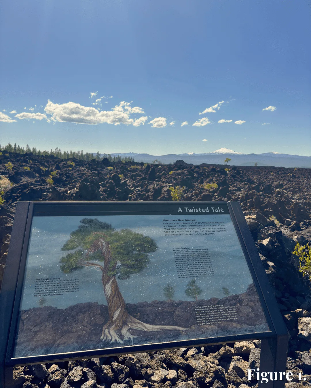 Published photograph from Where did Newberry's Lava Ness Monster go?.