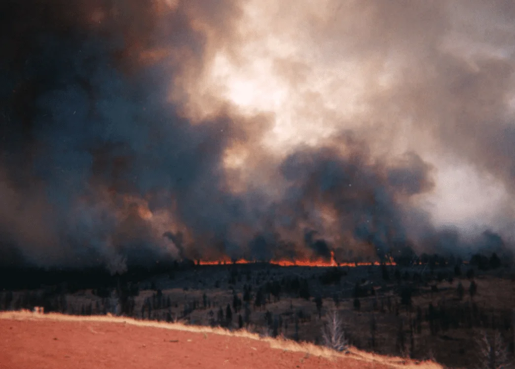 Skeleton Fire 1996 within the project area