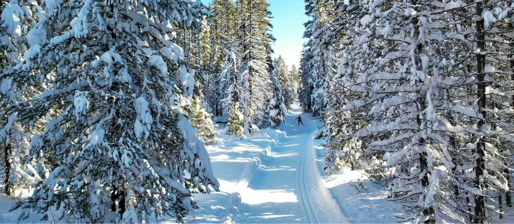 Published photograph from Your Complete Guide to Exploring Virginia Meissner Sno-Park, Deschutes National Forest.