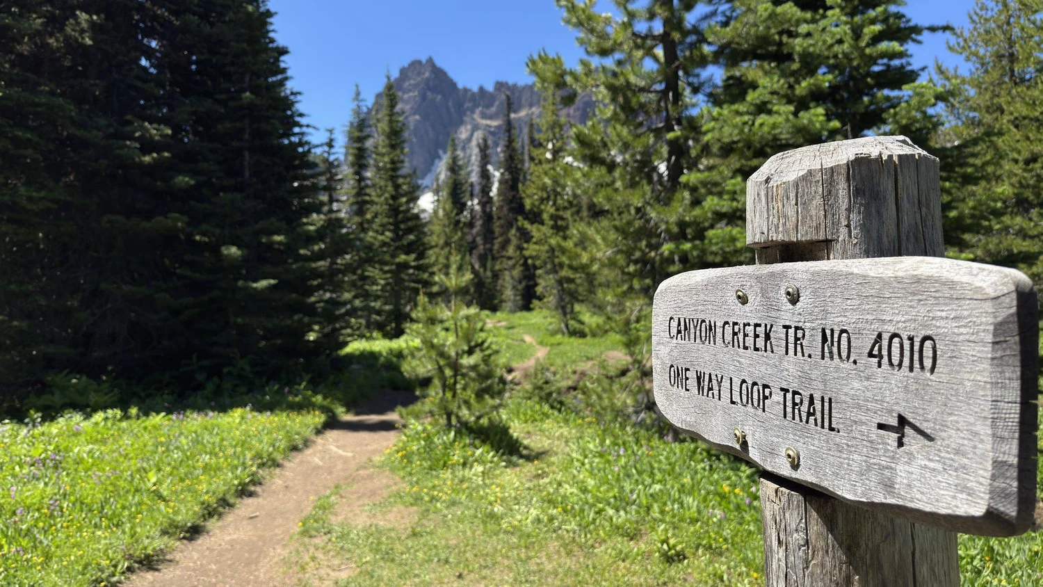 Canyon Creek Meadows below Three Fingered Jack in Oregon.