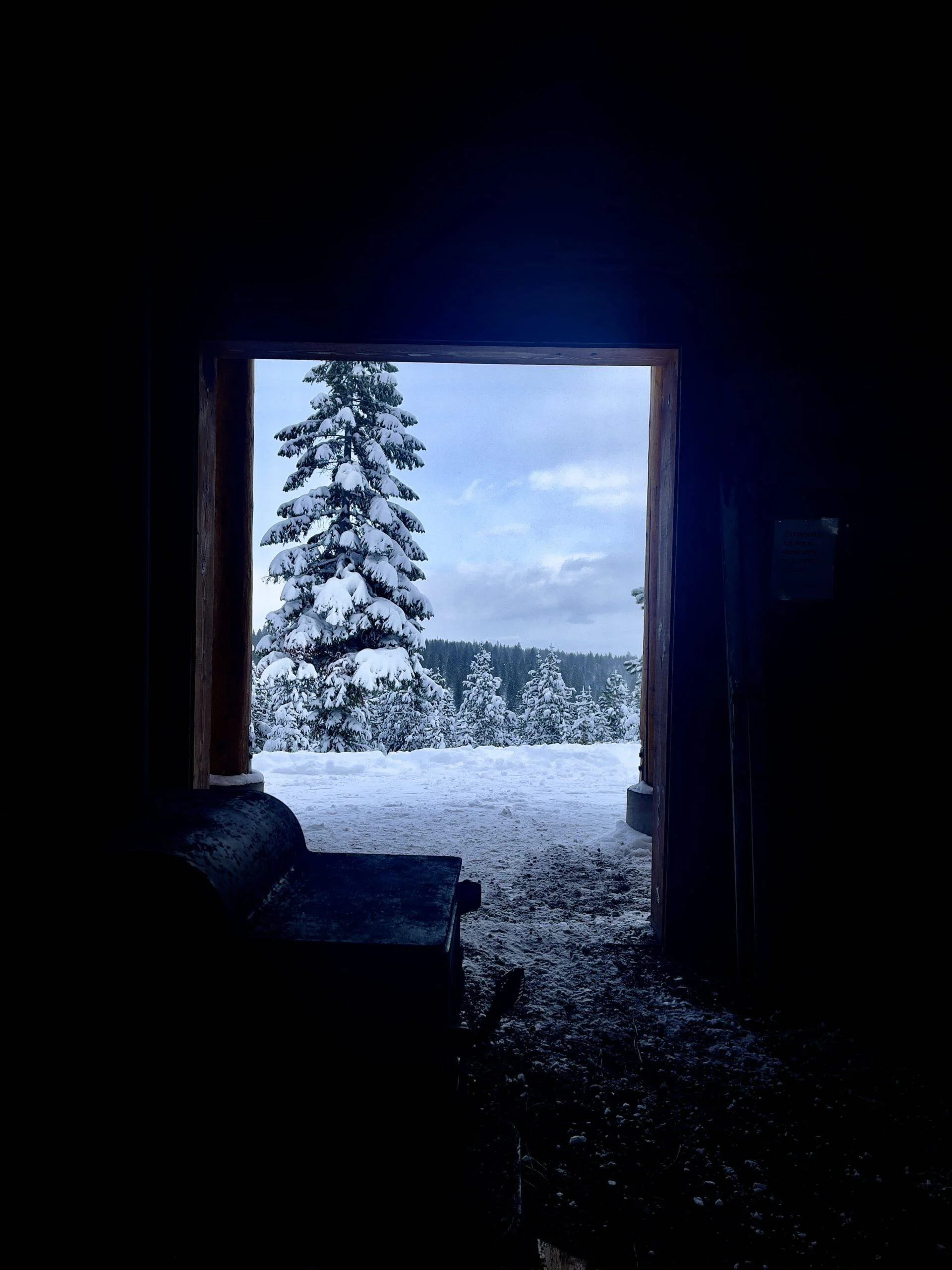Published photograph from Your Complete Guide to Exploring Virginia Meissner Sno-Park, Deschutes National Forest.