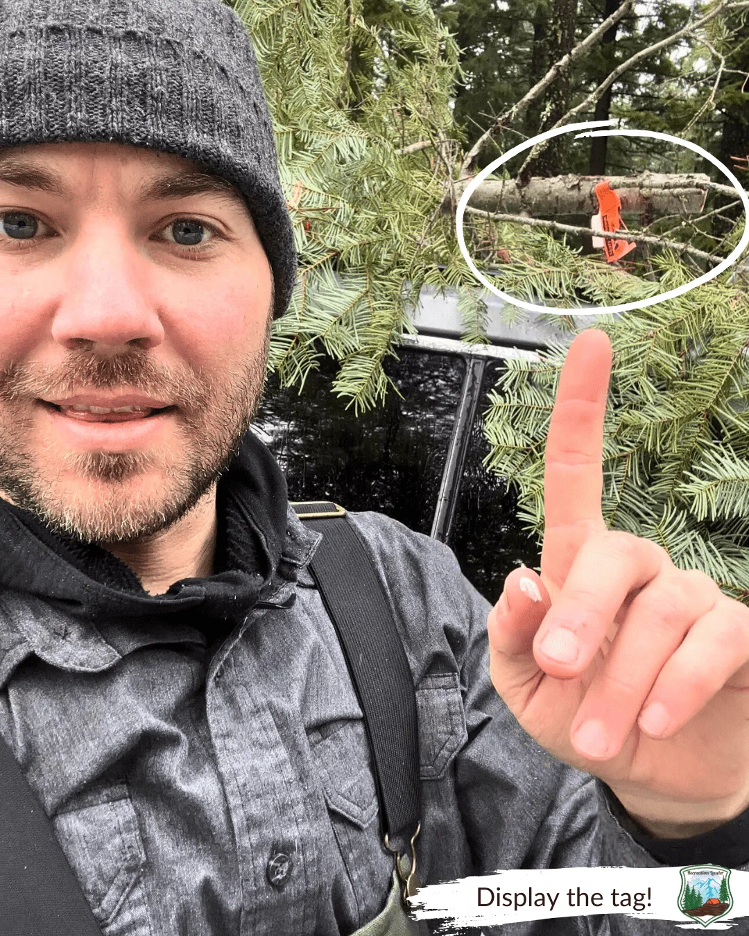 Published photograph from How to Find the Perfect Christmas Tree in the Deschutes National Forest.