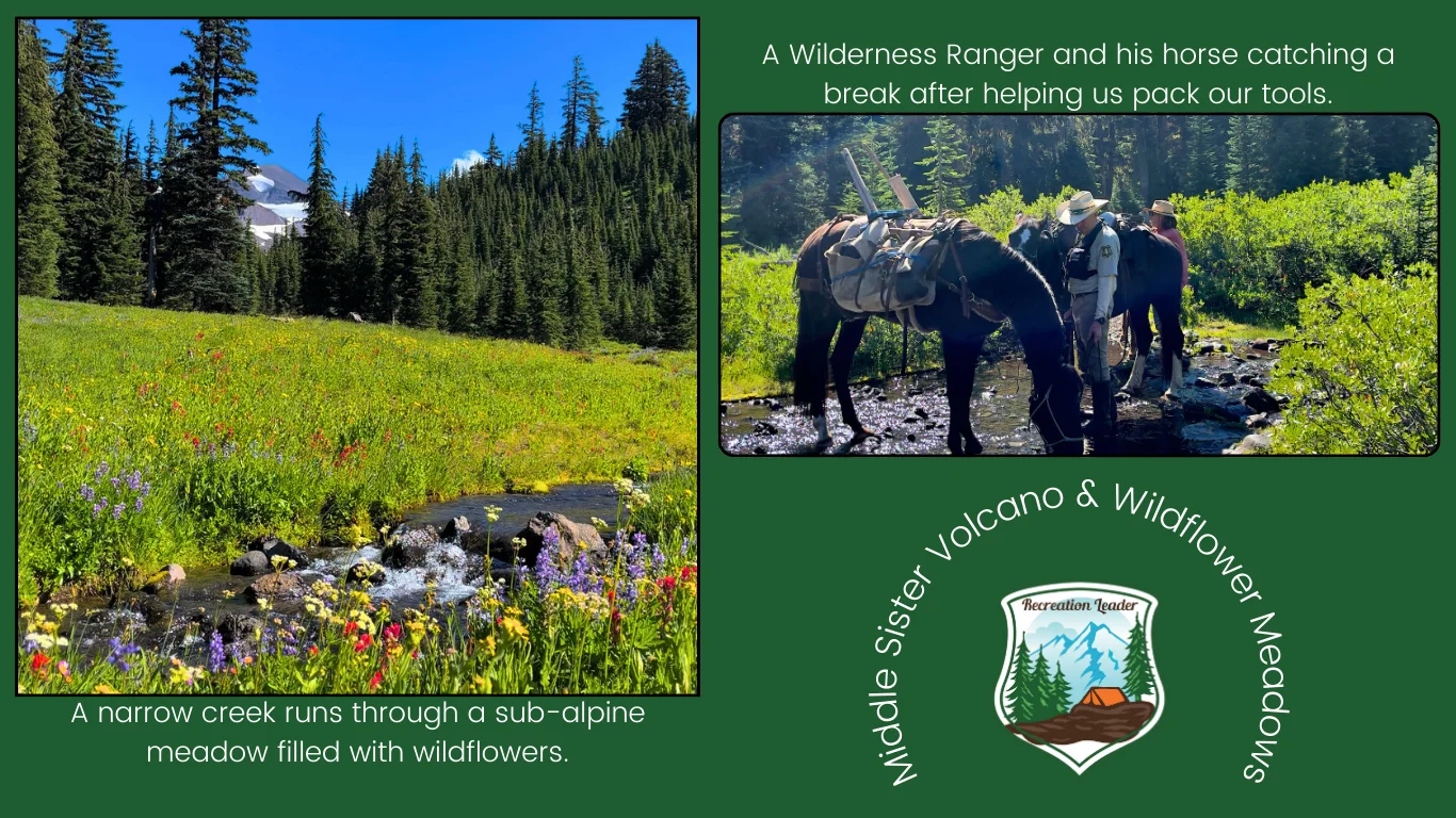 Published photograph from The Central Cascades Wilderness Permit System: A Comprehensive Guide 2025.