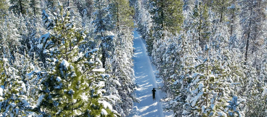 Published photograph from Your Complete Guide to Exploring Virginia Meissner Sno-Park, Deschutes National Forest.