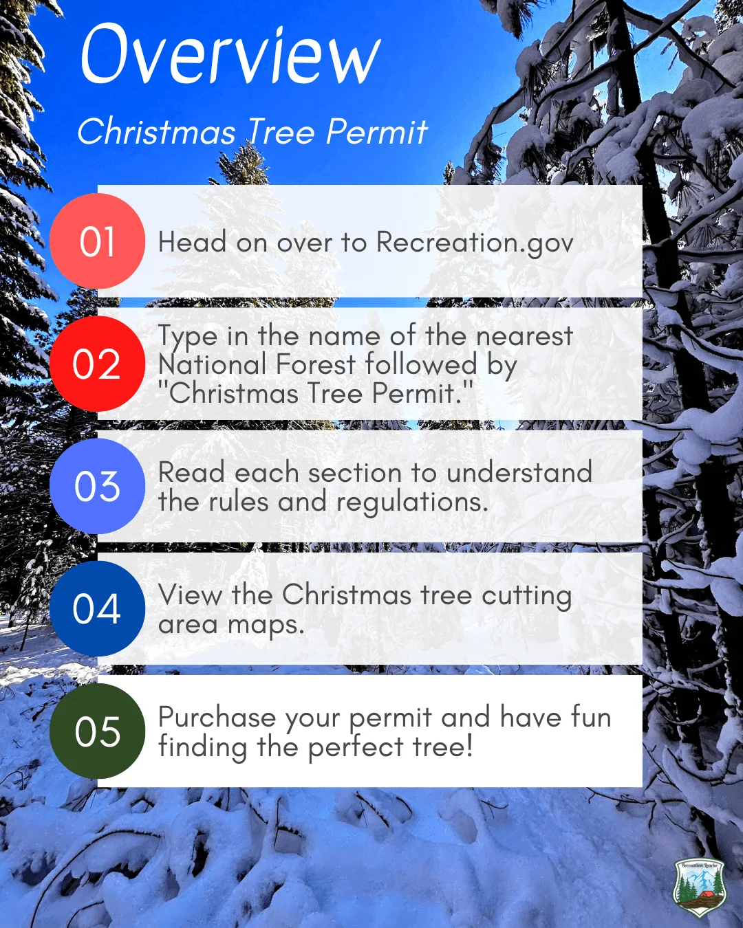 Published photograph from How to Find the Perfect Christmas Tree in the Deschutes National Forest.