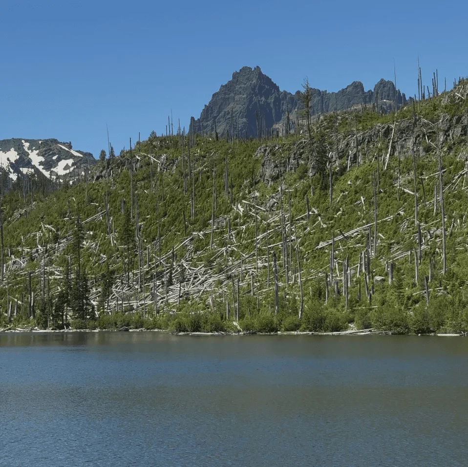 Published photograph from How to Hike Canyon Creek Meadows & See Mountain Goats on Three Fingered Jack.