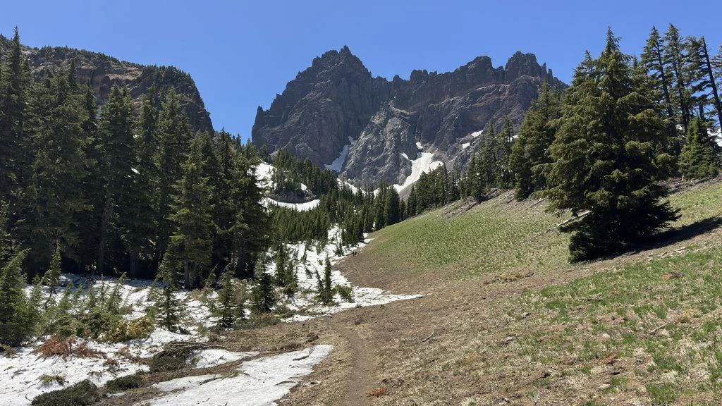Published photograph from How to Hike Canyon Creek Meadows & See Mountain Goats on Three Fingered Jack.
