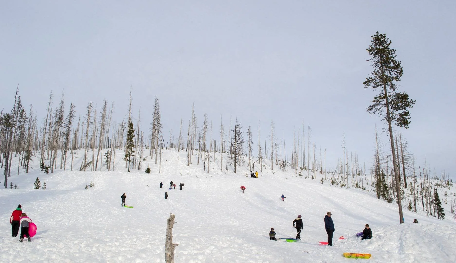 Published photograph from How to Explore Santiam Sno-Park, Willamette National Forest.