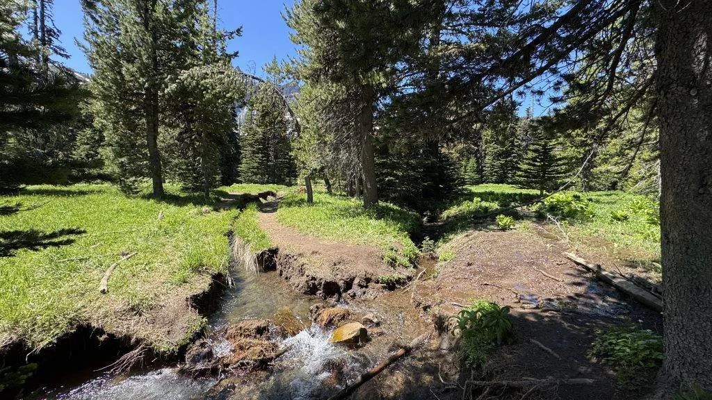 Published photograph from How to Hike Canyon Creek Meadows & See Mountain Goats on Three Fingered Jack.