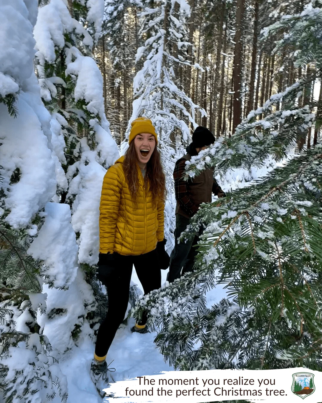 Published photograph from How to Find the Perfect Christmas Tree in the Deschutes National Forest.