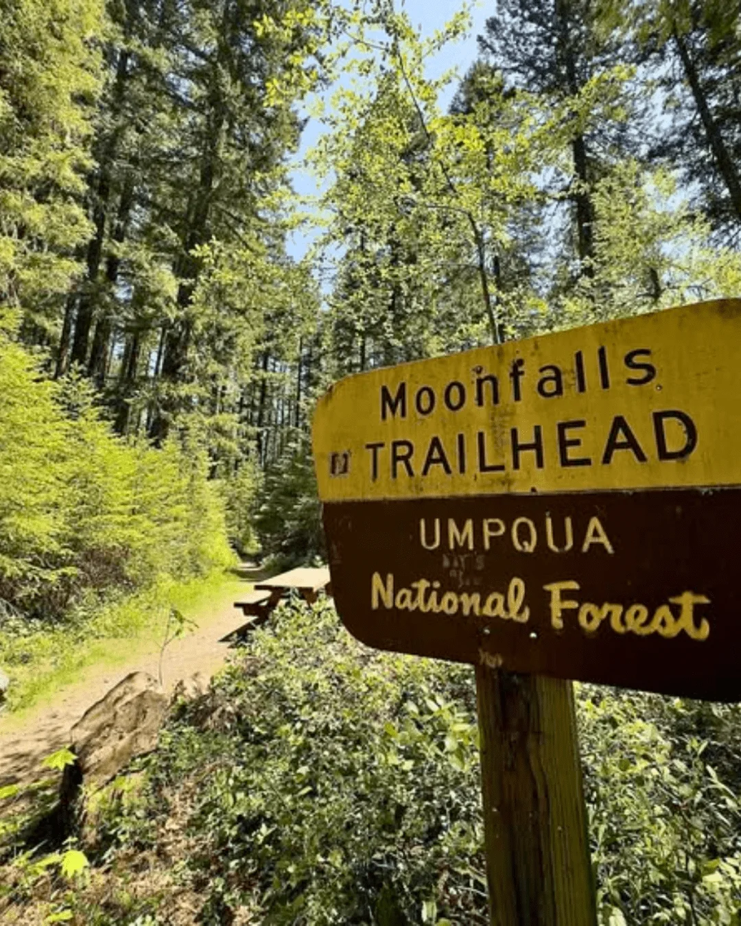 Published photograph from How to hike to Moonfalls, Umpqua National Forest.