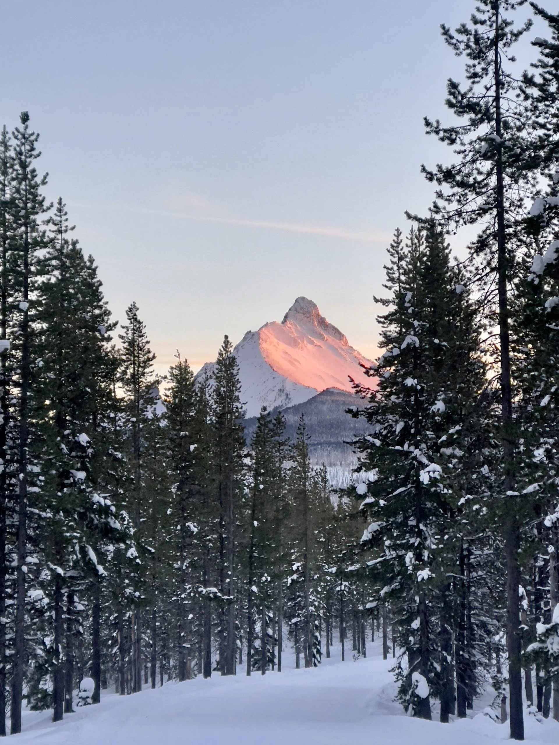 Published photograph from The Complete Guide to Exploring Ray Benson Sno-Park.