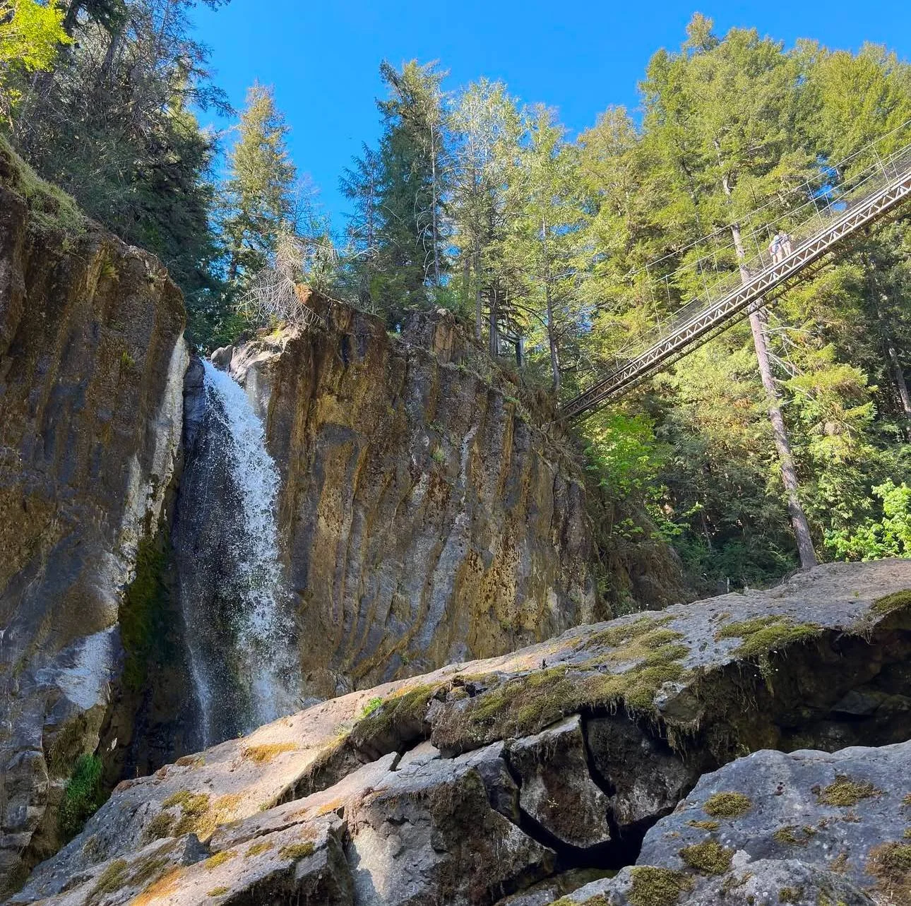 Published photograph from How to Hike to Drift Creek Falls.