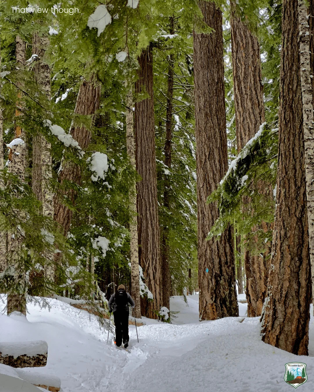 Published photograph from How to stay in the Mountain View Shelter, Willamette National Forest.