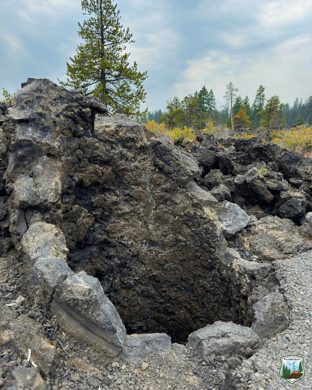 Published photograph from How to Hike the Lava Cast Forest Trail.