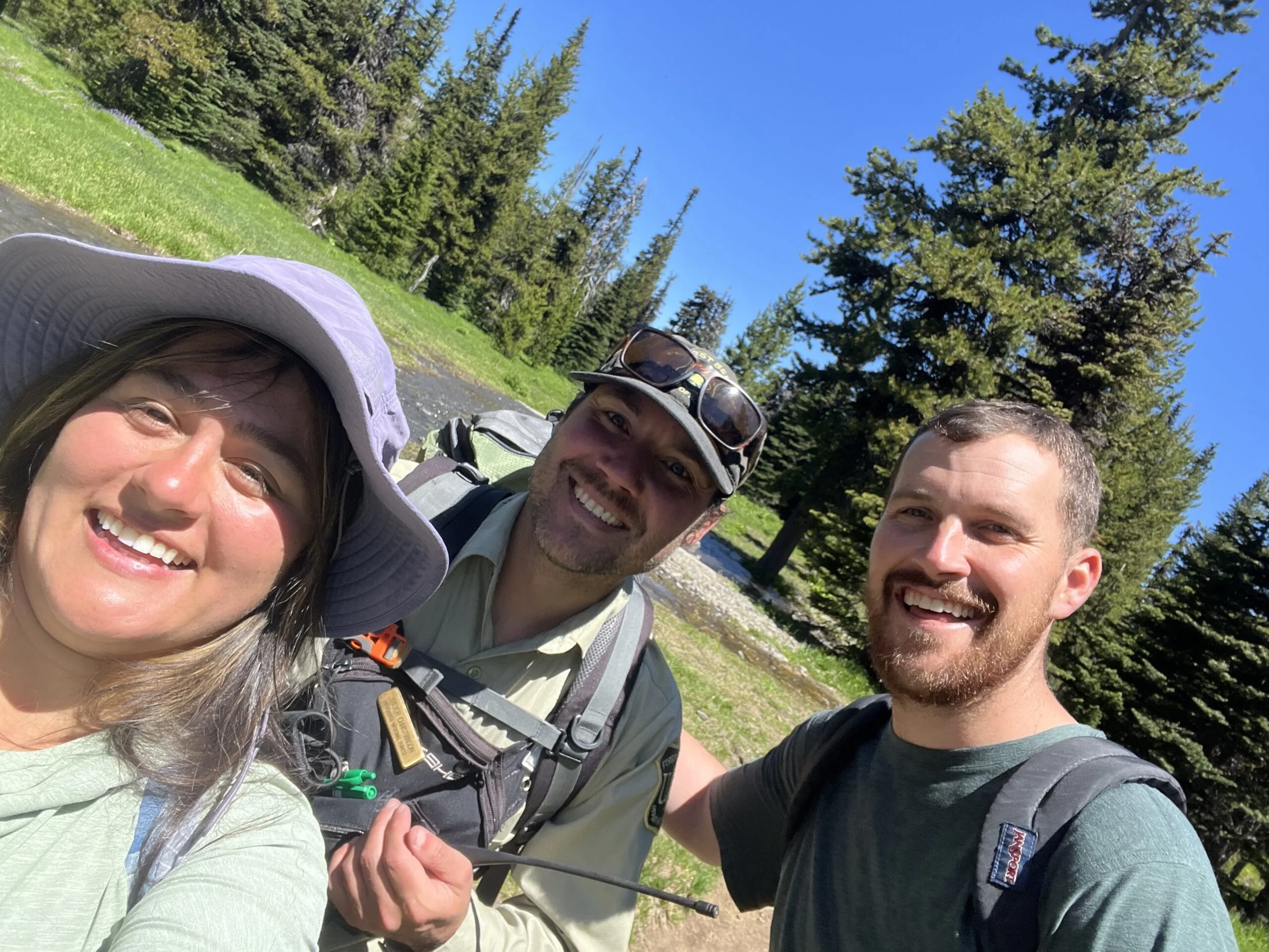 Published photograph from How to Hike Canyon Creek Meadows & See Mountain Goats on Three Fingered Jack.