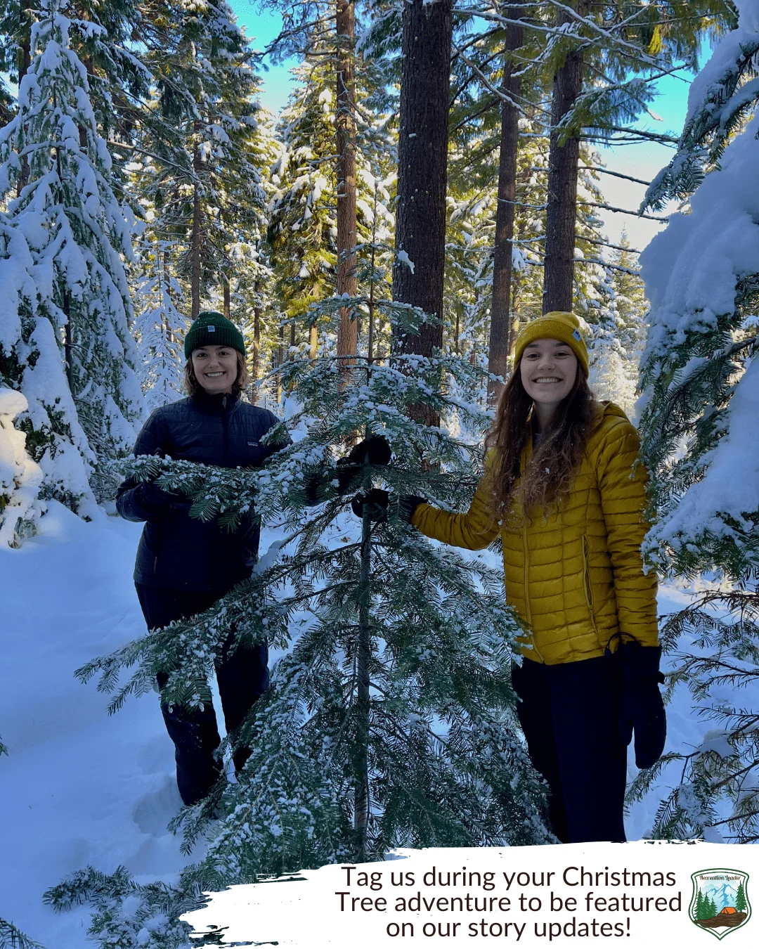 Published photograph from How to Find the Perfect Christmas Tree in the Deschutes National Forest.