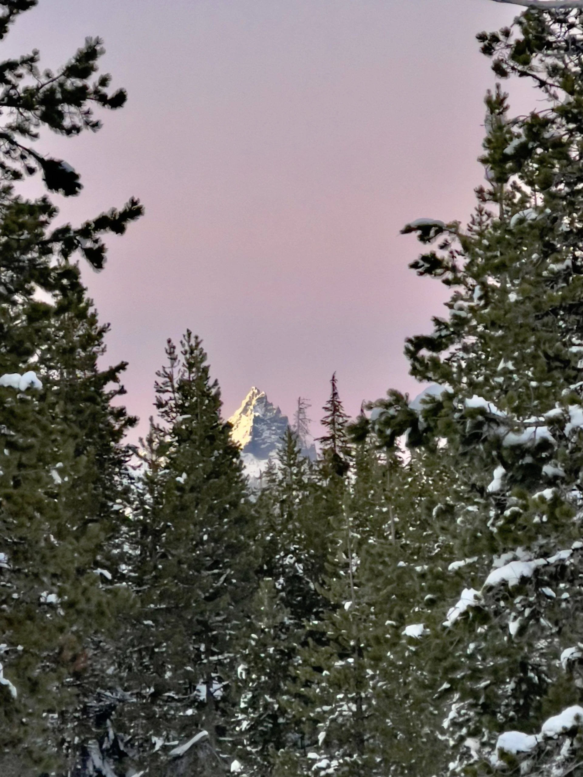 Published photograph from The Complete Guide to Exploring Ray Benson Sno-Park.