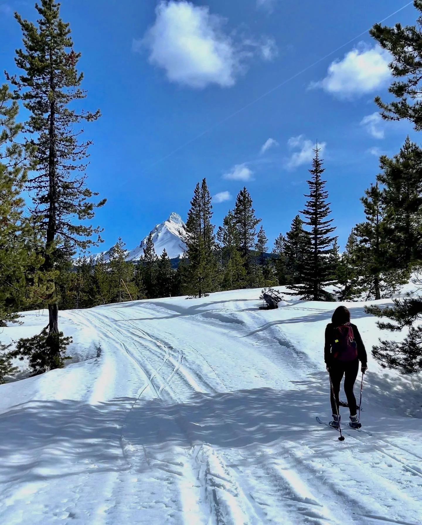 Published photograph from The Complete Guide to Exploring Ray Benson Sno-Park.
