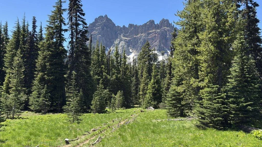 Published photograph from How to Hike Canyon Creek Meadows & See Mountain Goats on Three Fingered Jack.