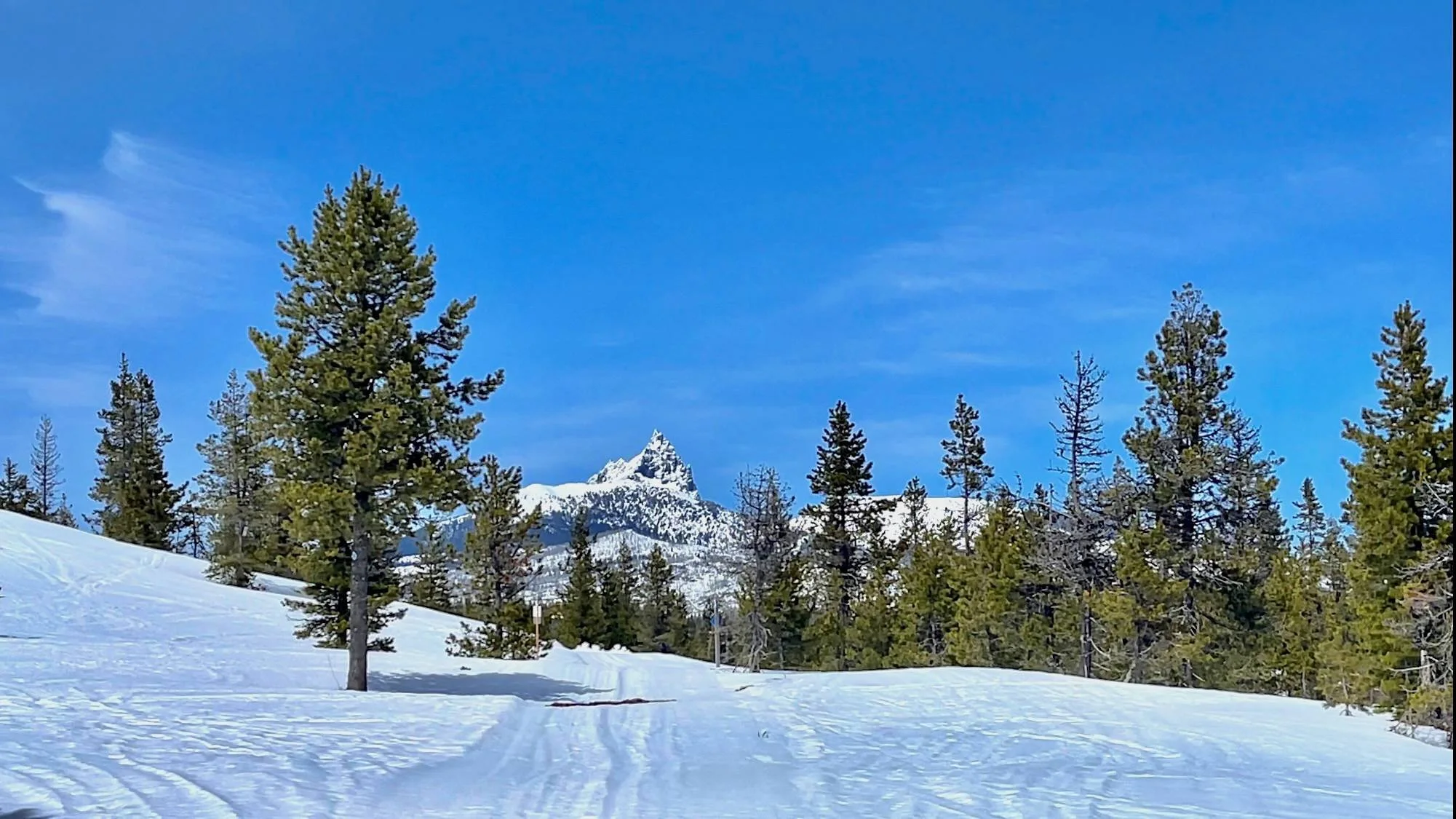 Published photograph from The Complete Guide to Exploring Ray Benson Sno-Park.