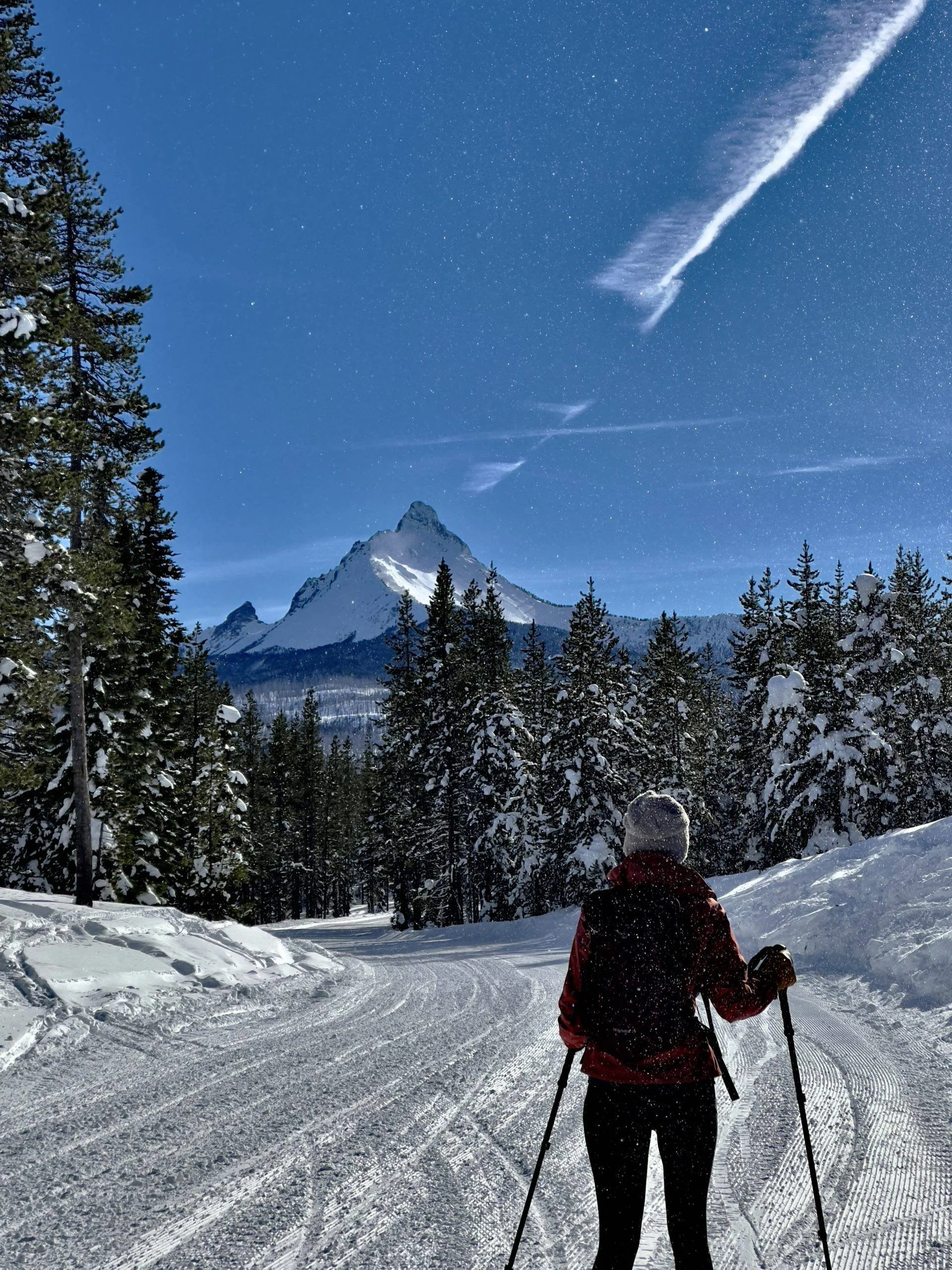Published photograph from The Complete Guide to Exploring Ray Benson Sno-Park.