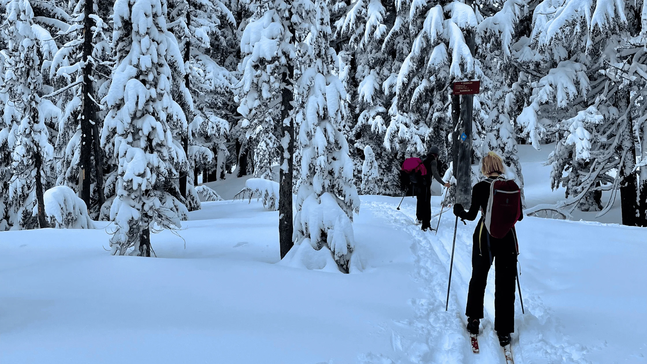 Published photograph from The Complete Guide to Exploring Dutchman Flat Sno-Park.