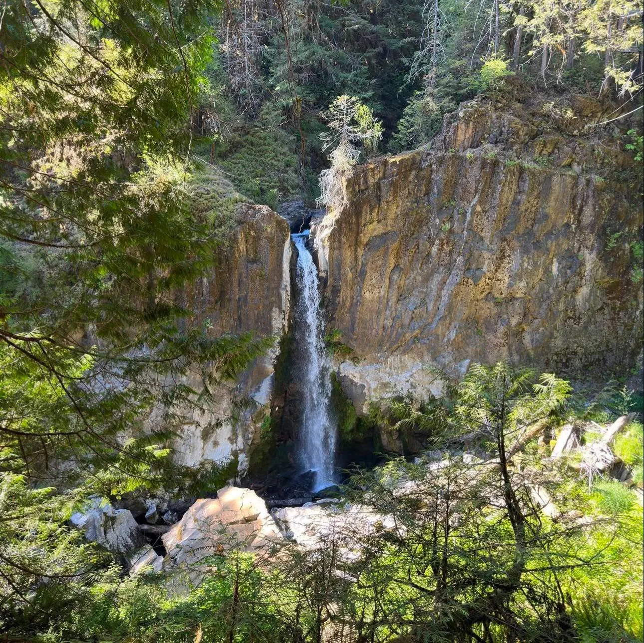 Published photograph from How to Hike to Drift Creek Falls.