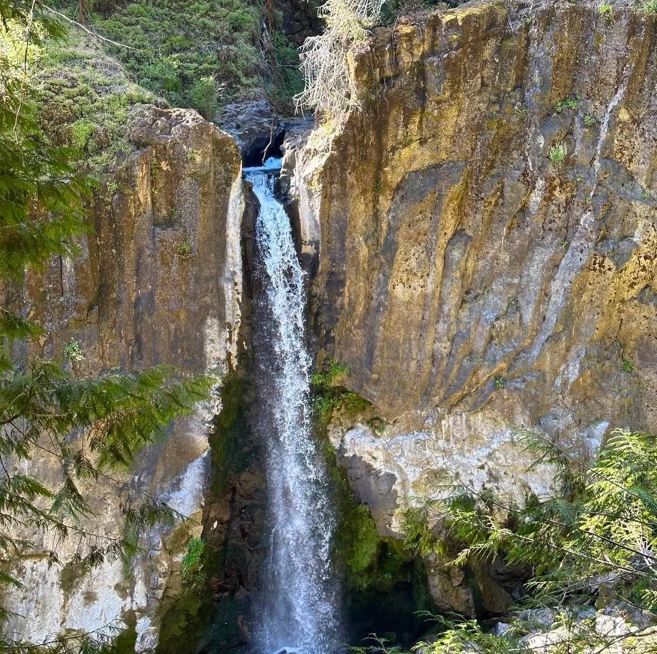 Published photograph from How to Hike to Drift Creek Falls.