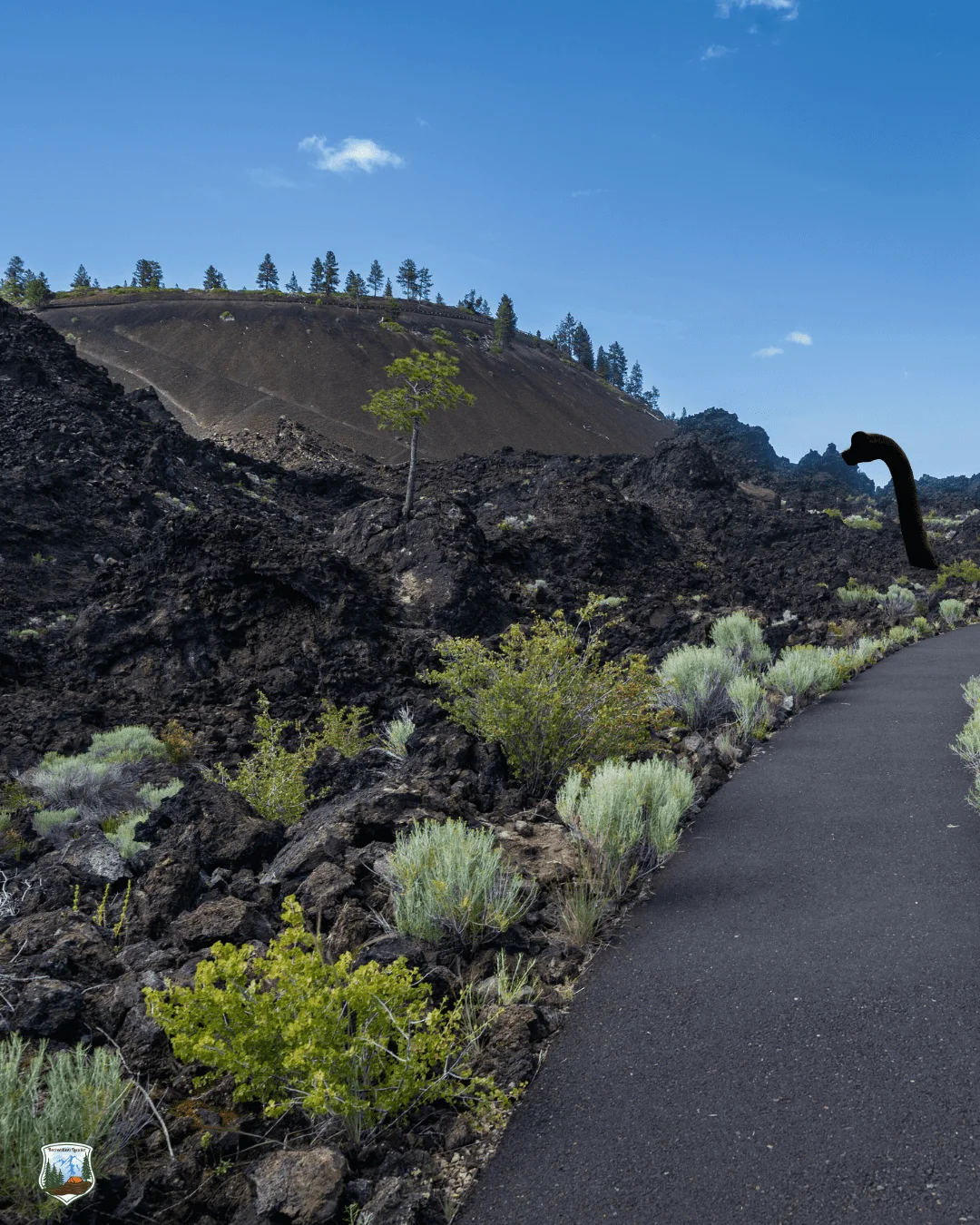 Published photograph from Where did Newberry's Lava Ness Monster go?.