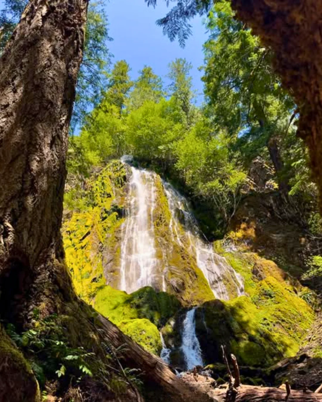 Published photograph from How to hike to Moonfalls, Umpqua National Forest.