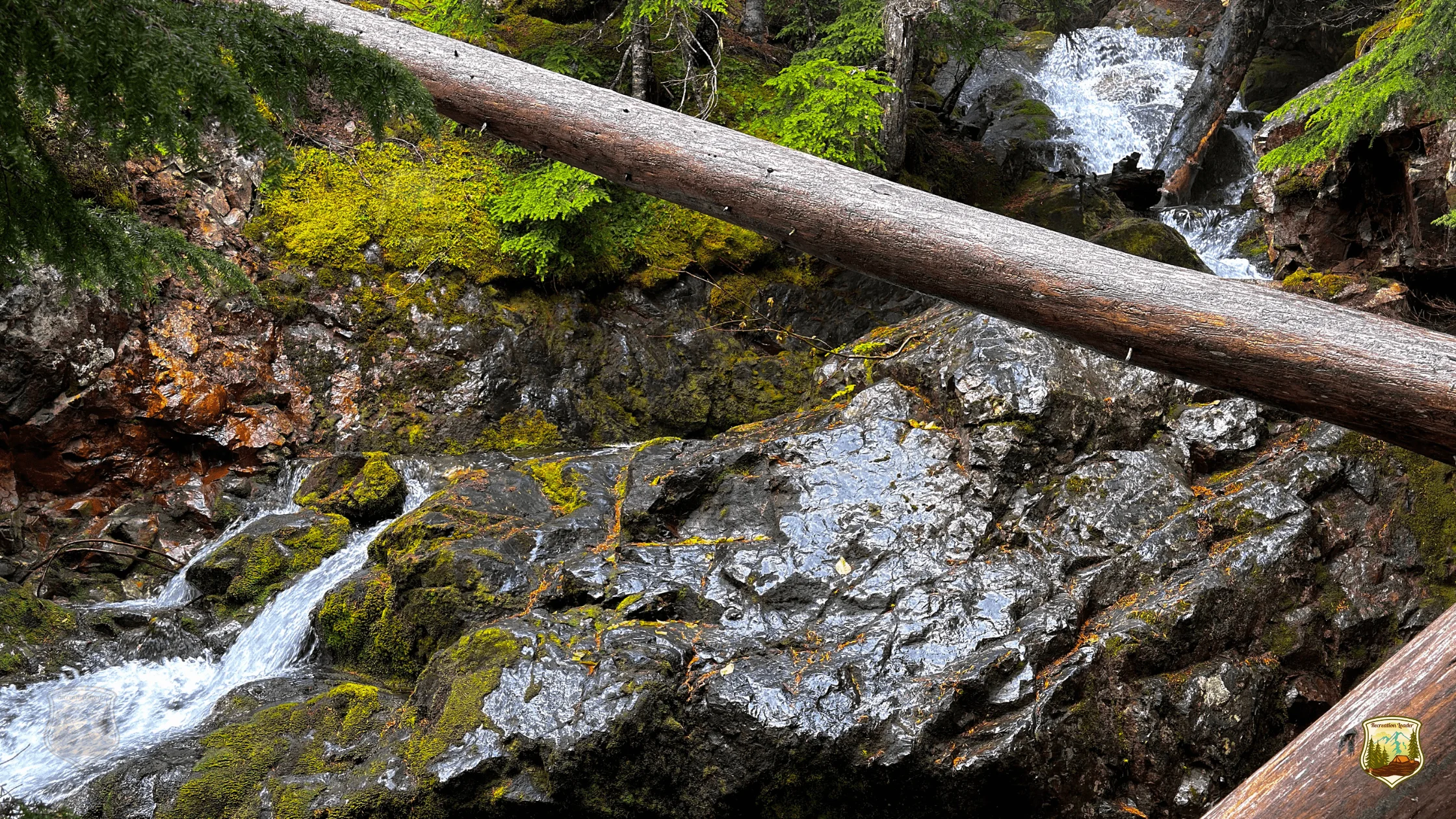 The rugged terrain of Mesatchee Creek was shaped by ancient volcanic activity, leaving behind basaltic rock formations and scattered pyrite, also known as “fool’s gold.” These glimmering minerals in the creek beds provide a connection to the area’s…