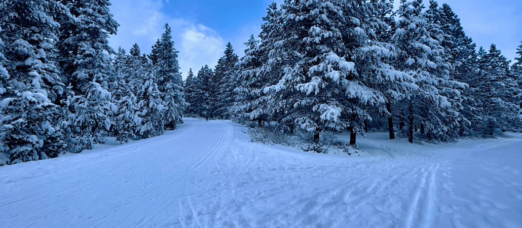 Published photograph from Your Complete Guide to Exploring Virginia Meissner Sno-Park, Deschutes National Forest.