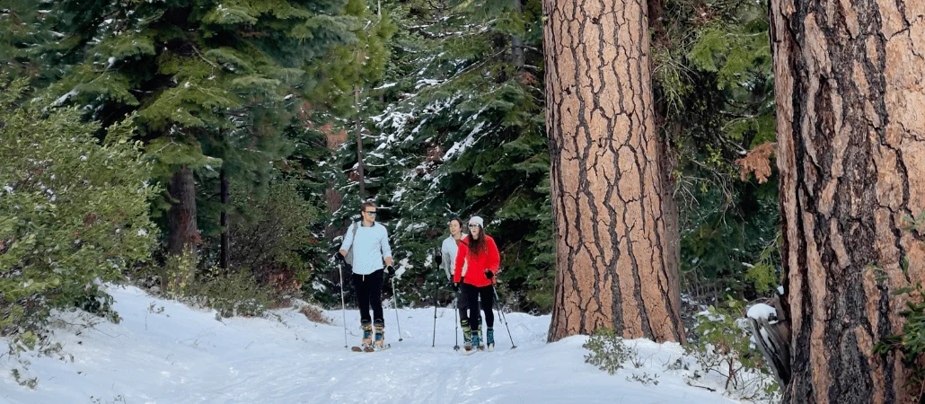 Published photograph from Your Complete Guide to Exploring Virginia Meissner Sno-Park, Deschutes National Forest.
