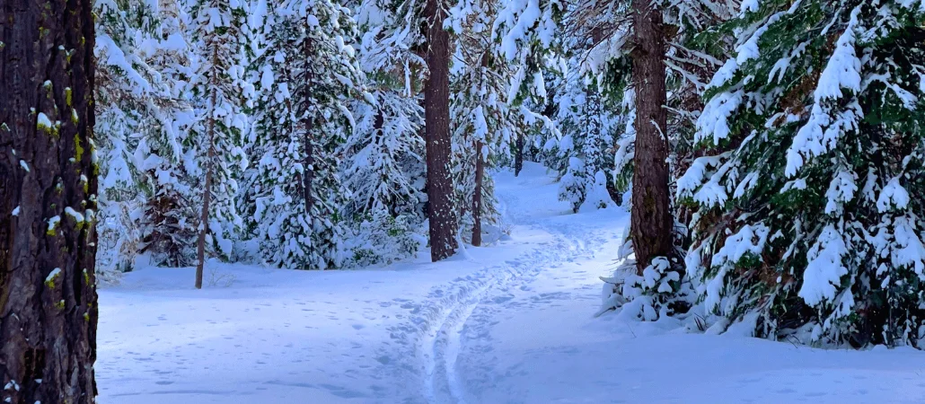 Published photograph from Your Complete Guide to Exploring Virginia Meissner Sno-Park, Deschutes National Forest.