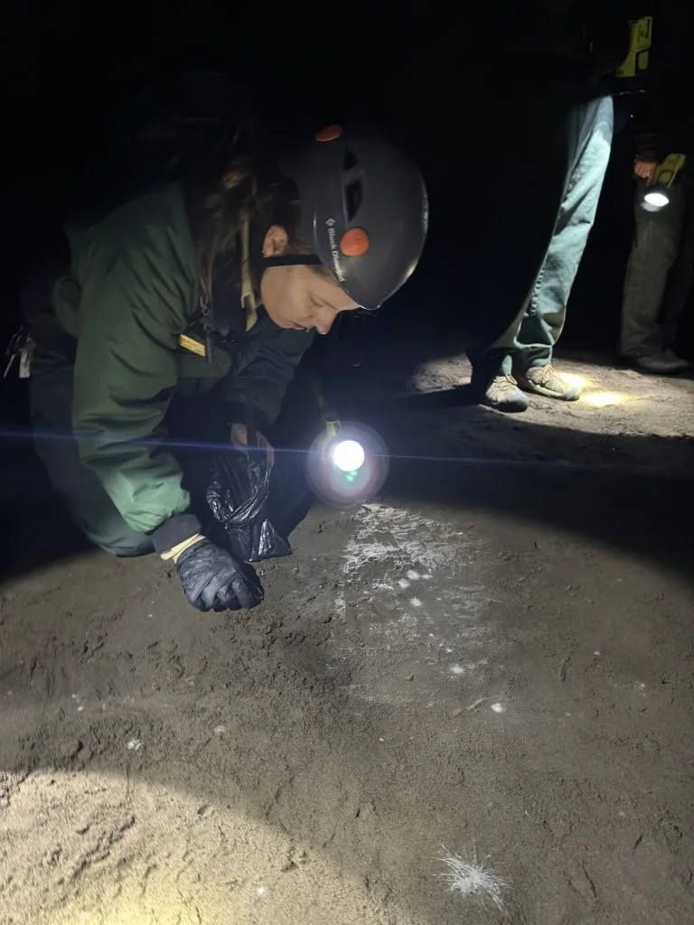 Published photograph from How to Explore Lava River Cave.